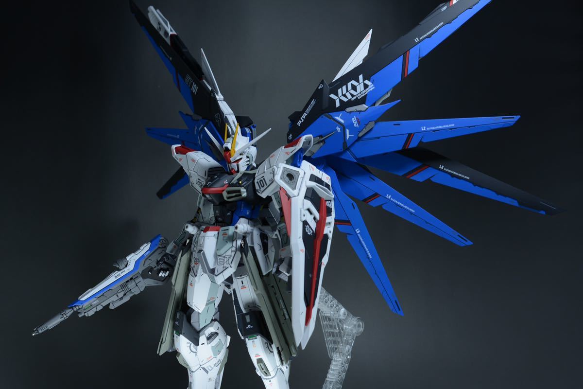 MG 1/100 フリーダムガンダムVer.2.0 改修 塗装 完成品 【公式通販】