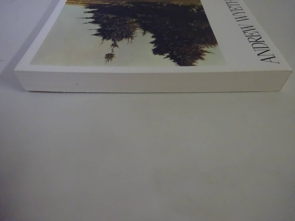 J＊3Dω 図録 アンドリュー・ワイエス展 ANDREW WYETH RETROSPECTIVE 