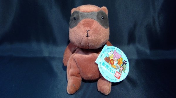 1999年 バンダイ 動物占いぬいぐるみ たぬき タグ付き 玖保キリコd4b451 その他 売買されたオークション情報 Yahooの商品情報をアーカイブ公開 オークファン Aucfan Com 1999年 バンダイ 動物占いぬいぐるみ たぬき タグ付き 玖保キリコd4b451 その他 売買されたオークション情報 Yahooの商品情報をアーカイブ公開 オークファン Aucfan Com