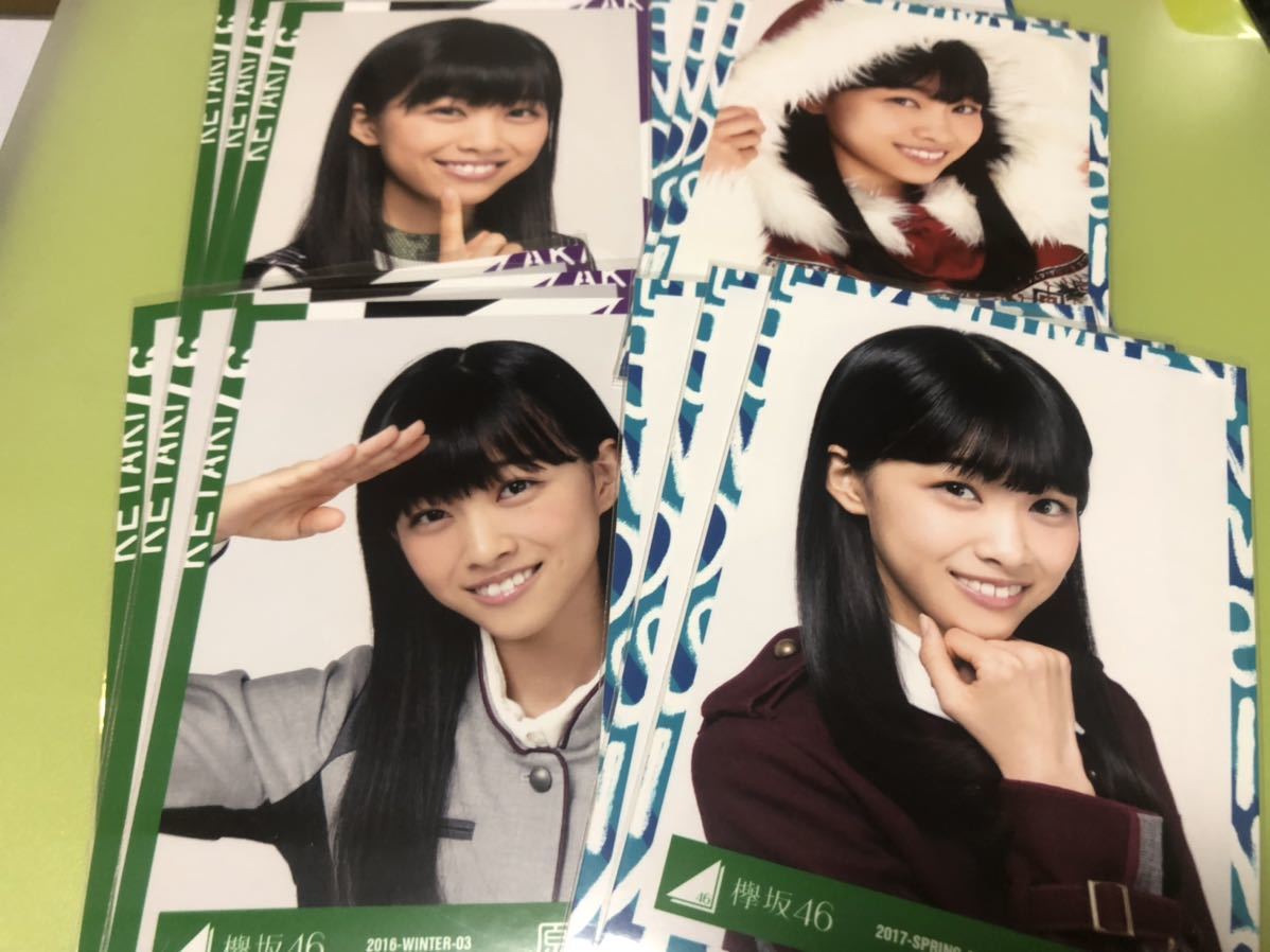 欅坂46 欅坂46 櫻坂46 菅井友香 封入&会場&欅宣言他 生写真コンプ