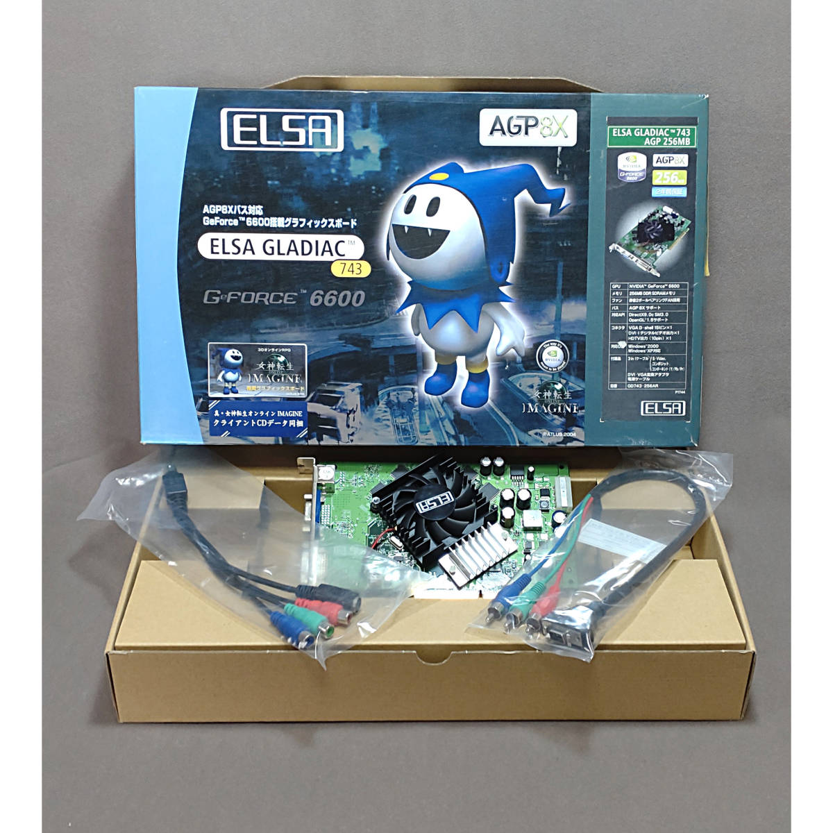 12/07限定気まぐれセール】ビカクシダ エルサ Elsa oc株 子株① 2026年