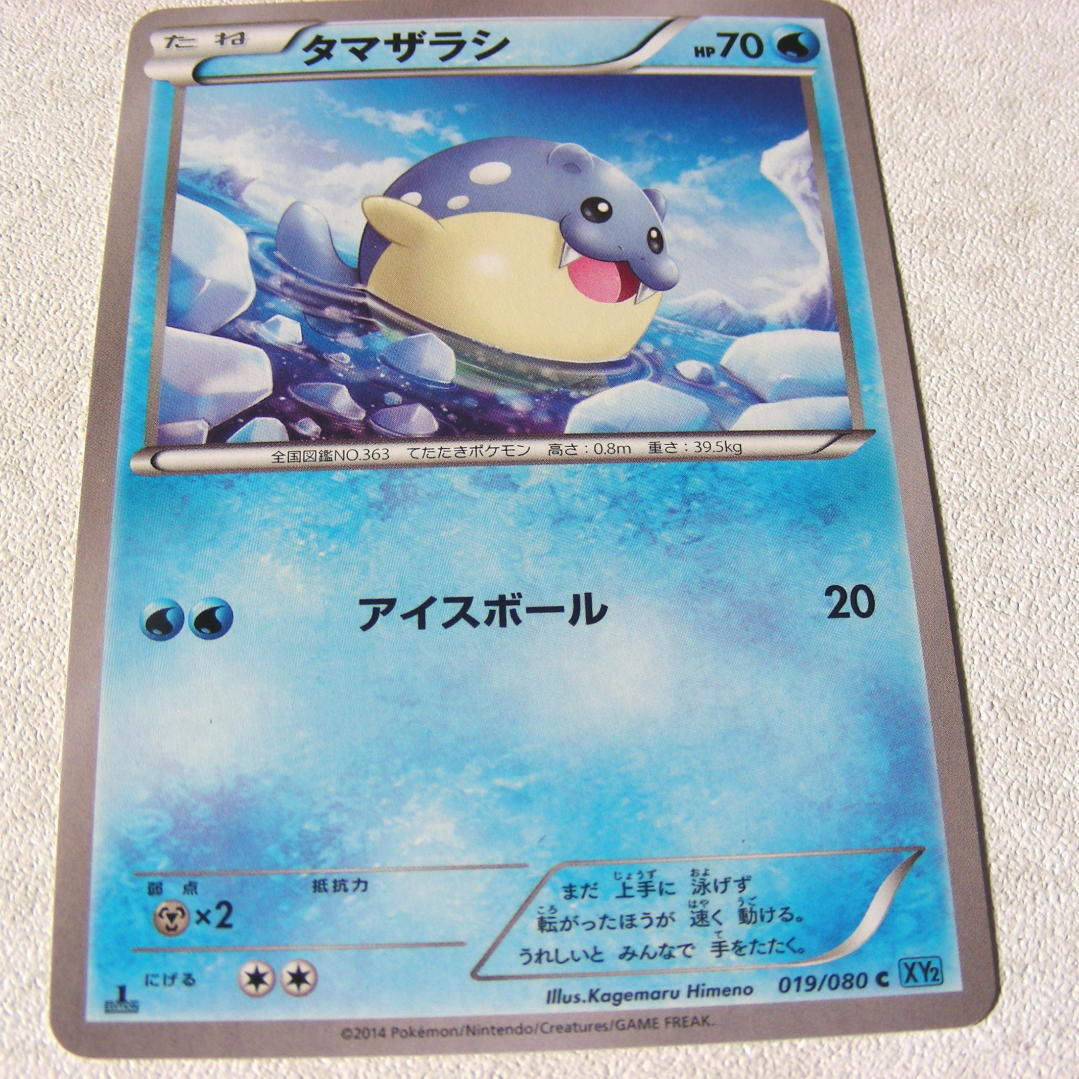 ポケモン メダル こもれ (363枚)