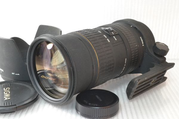 ☆実用品☆SIGMA シグマ APO EX 50-500mm F4-6.3D HSM ニコン用