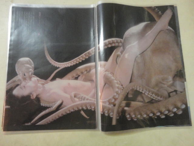 青春のアイドル 樋口可南子 2 松竹 北斎漫画 大ダコ 着物 ピンナップ 約18ページ分 雑誌 切り抜き 大量 まとめて 当時物 タレント 売買されたオークション情報 Yahooの商品情報をアーカイブ公開 オークファン Aucfan Com