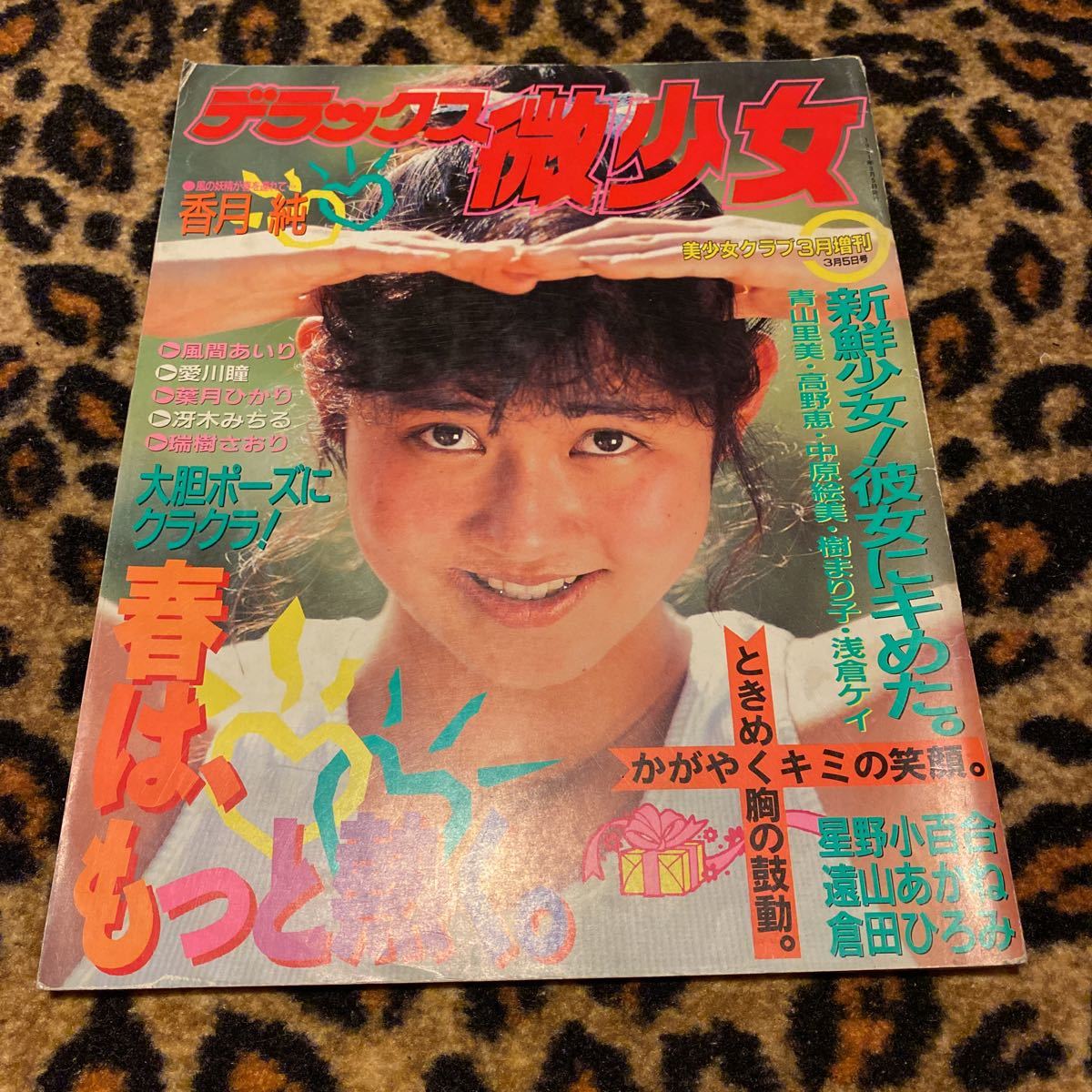 昭和エロス殿堂 サン出版大判グラビア雑誌 デラックス微少女 1991年美