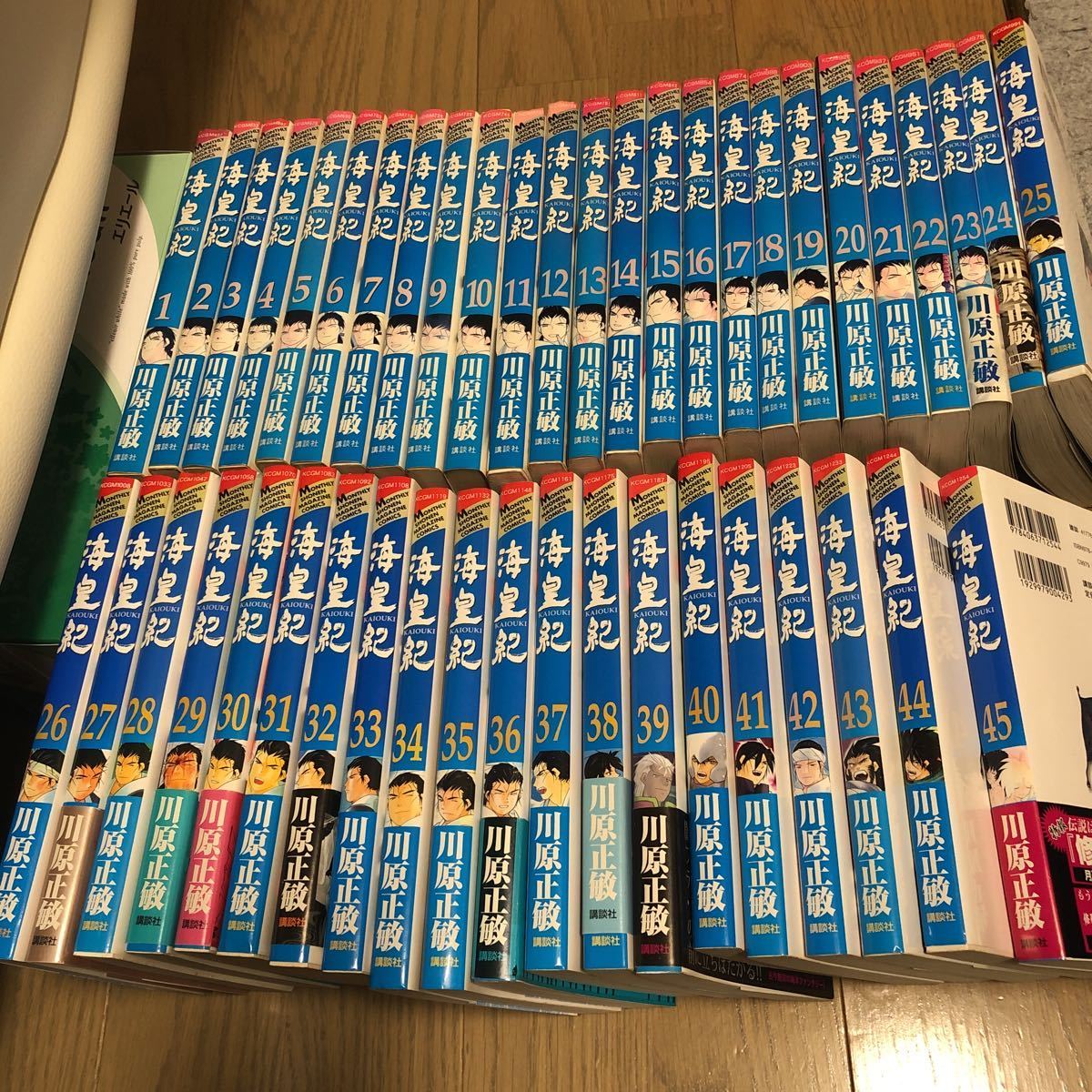 海皇紀 45巻全巻セット 川原正敏 【公式通販】