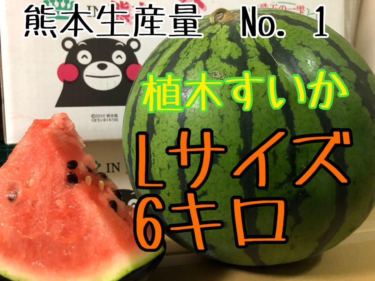 【送料無料，お買い得】 L2玉 合計10キロ超え 甘い〜すいか糖度12度(スイカ)｜売買されたオークション情報、yahooの商品情報をアーカイブ公開 - オークファン スイカ