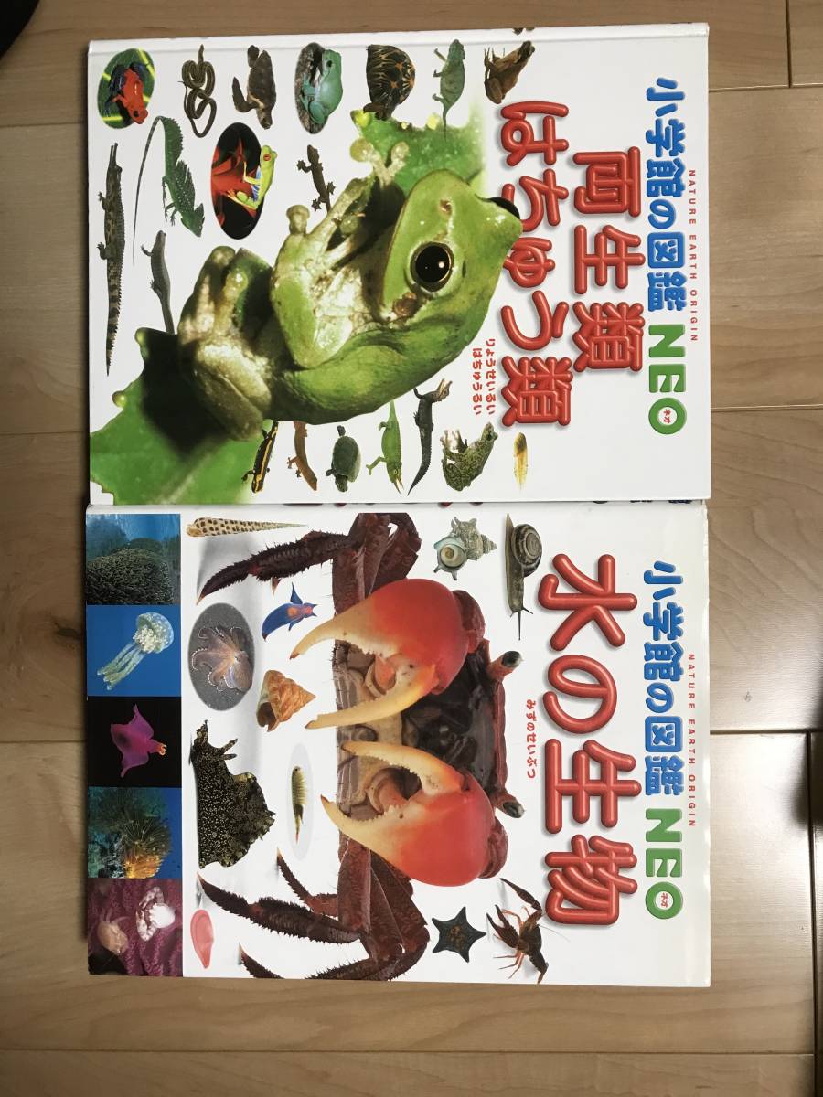 こどものための動物たちの愛の物語 小学館 Www Floridaconstructionlegalupdates Com