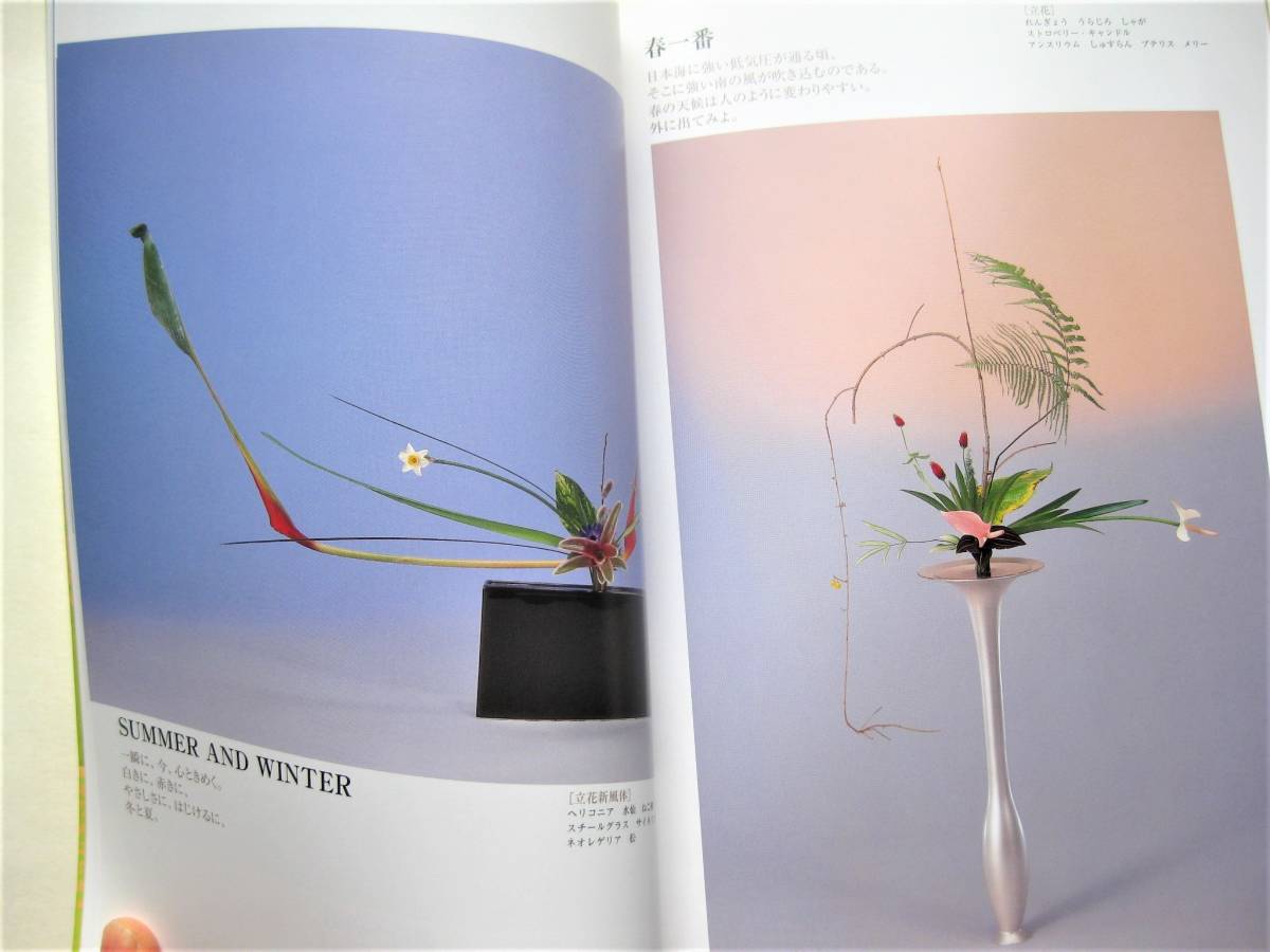 花は咲いたか - メルカリ 池坊いけばな作品集 : いけばなの根源 池坊 