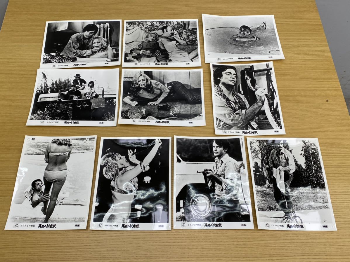 当時物 1972年残酷ヘビ地獄 映画ポスター チラシ スチール写真 クリス ロビンソン アレックス ロッコ 広告 映画館宣伝用 その他 売買されたオークション情報 Yahooの商品情報をアーカイブ公開 オークファン Aucfan Com