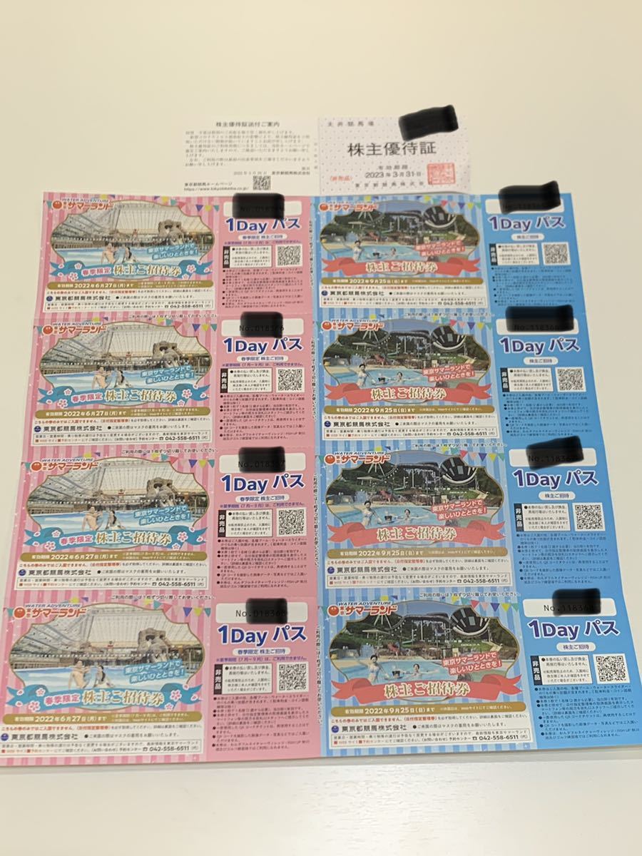 東京競馬場 株主優待 東京サマーランド 1Dayパス８枚 東京サマーランド 株主優待 1Dayパス 8枚 匿名送料無料】東京