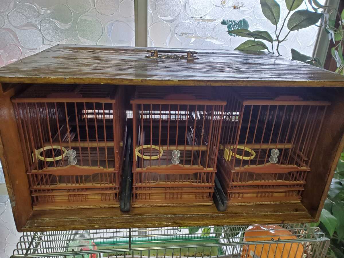 鳥かご 竹製 かご メジロかご