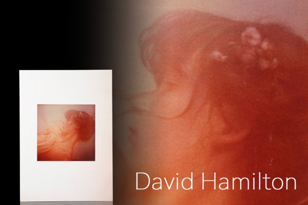 S-42 デビット ハミルトン「オリジナル プリント②」David Hamilton 検
