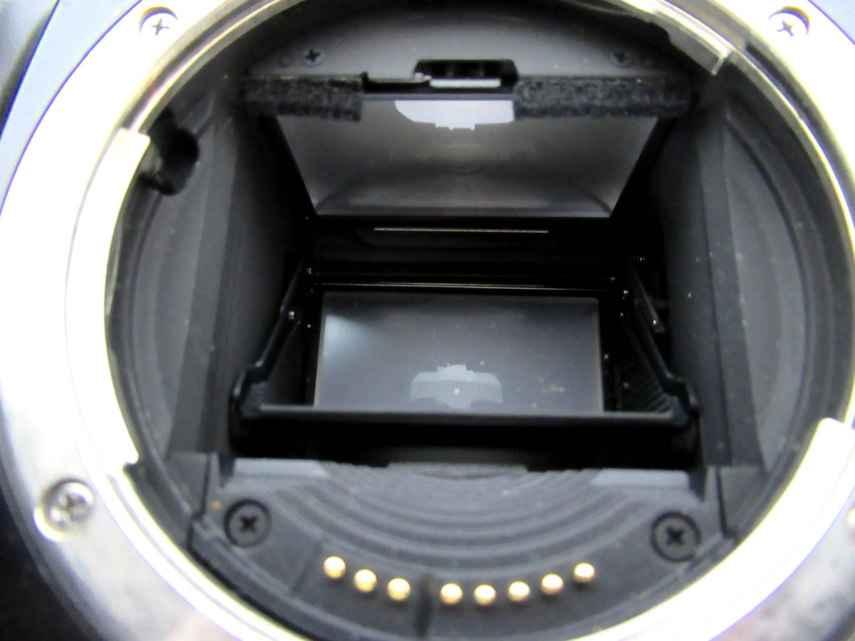 Canon/キヤノン】卯⑥050//EOS-1N HS EOS-1N Canon HS Camera Museum