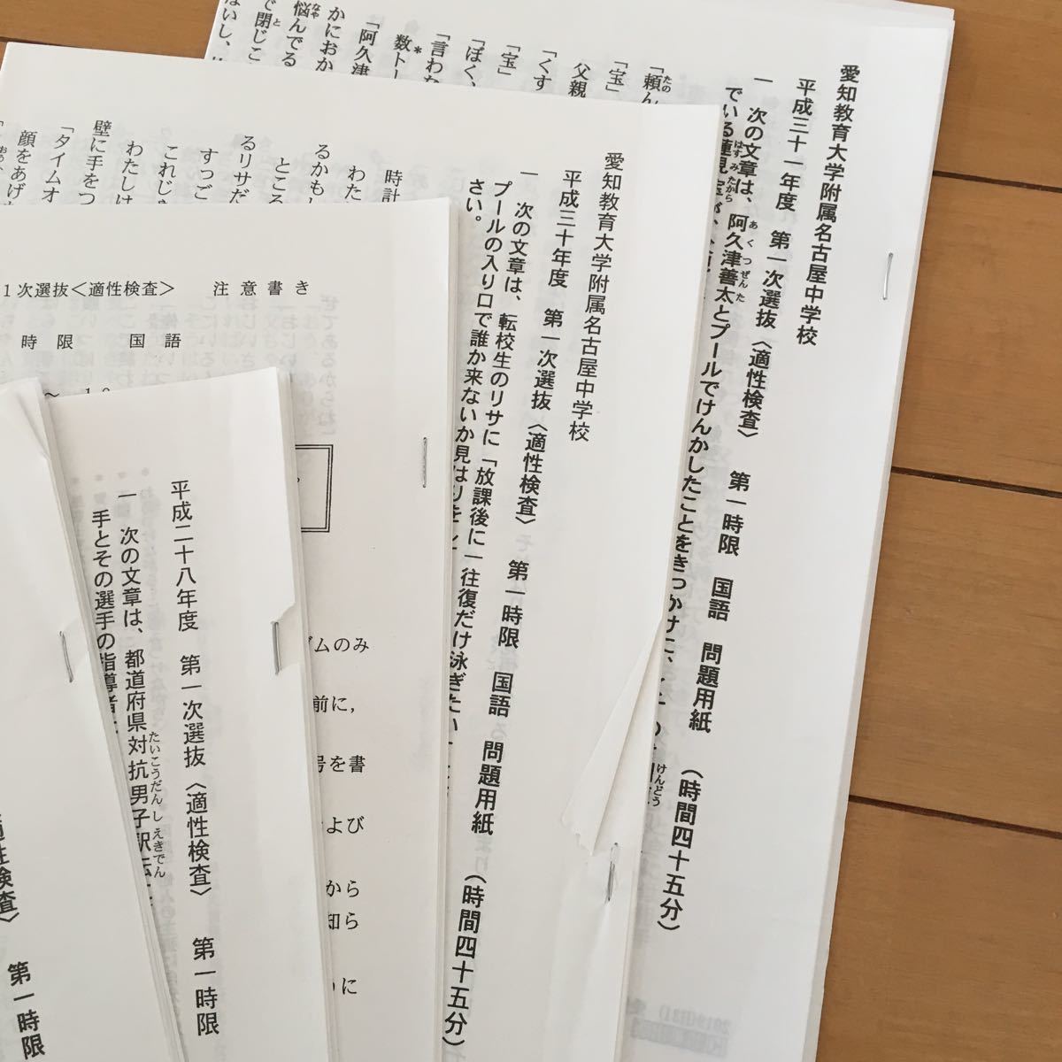 入試問題 問題集 過去問 愛知教育大学附属名古屋中学校 入学試験問題集