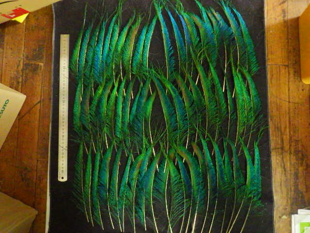 i-img1200x1200-16675673592rs8xz157002