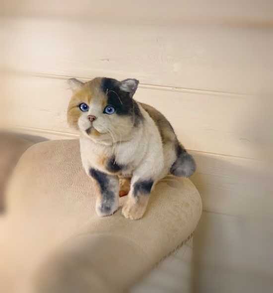 作家 ぬいぐるみ 三毛猫 猫 アートドール リアル テディベア 羊毛