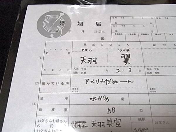 Starry Sky 星座旦那シリーズ特典 婚姻届 天羽翼の入札履歴 - 入札者の順位