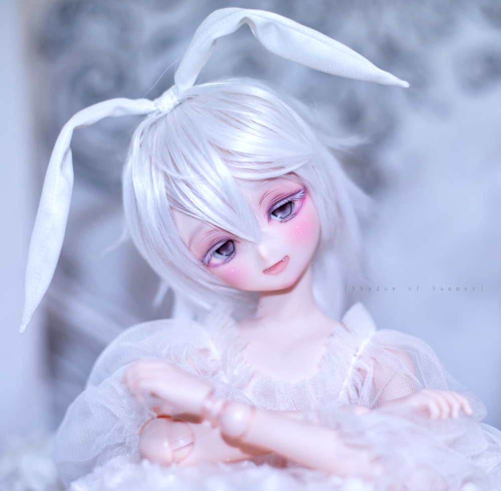 ◆[夏影]DDH-22 カスタムヘッド セミホワイト肌 ドルフィードリーム DD◆ セミホワイト肌 ドルフィー ◇[夏影]DDH-27 ◆[夏影]DDH-22 人形、キャラクタードール ◇[夏影]DDH-29