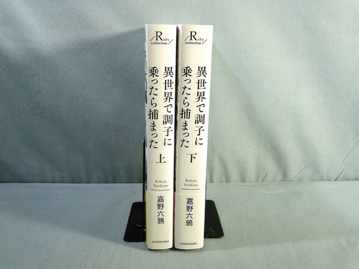 B Bl小説 異世界 調子に乗ったら捕まった 上下巻セット 嘉野六鴉 2 B6755 単行本 売買されたオークション情報 Yahooの商品情報をアーカイブ公開 オークファン Aucfan Com