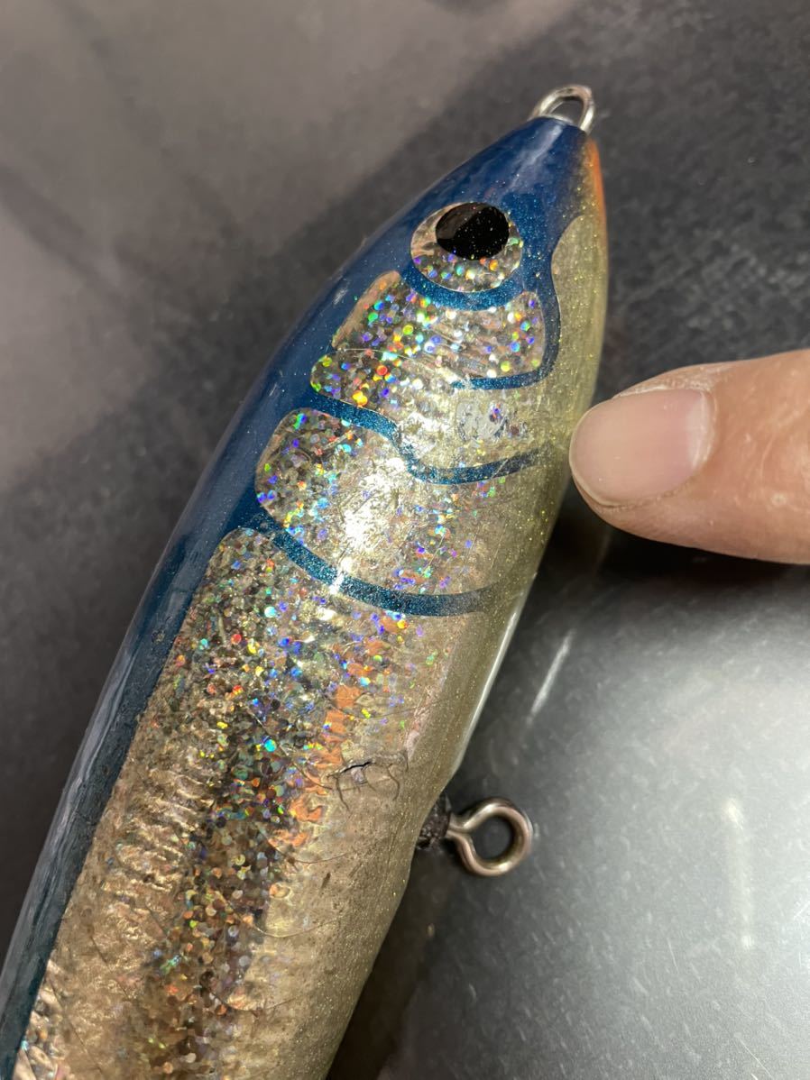 カーペンターブルーフィッシュ100 BF100カーペンタールアー ガンマγ