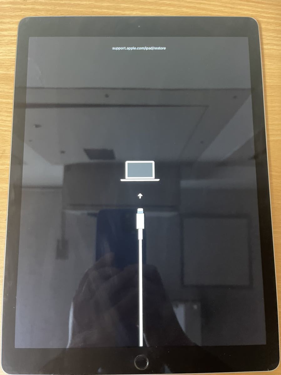 iPad Pro ジャンク品 256GB 公式通販 第1世代 12.9インチ 12.9 pro 