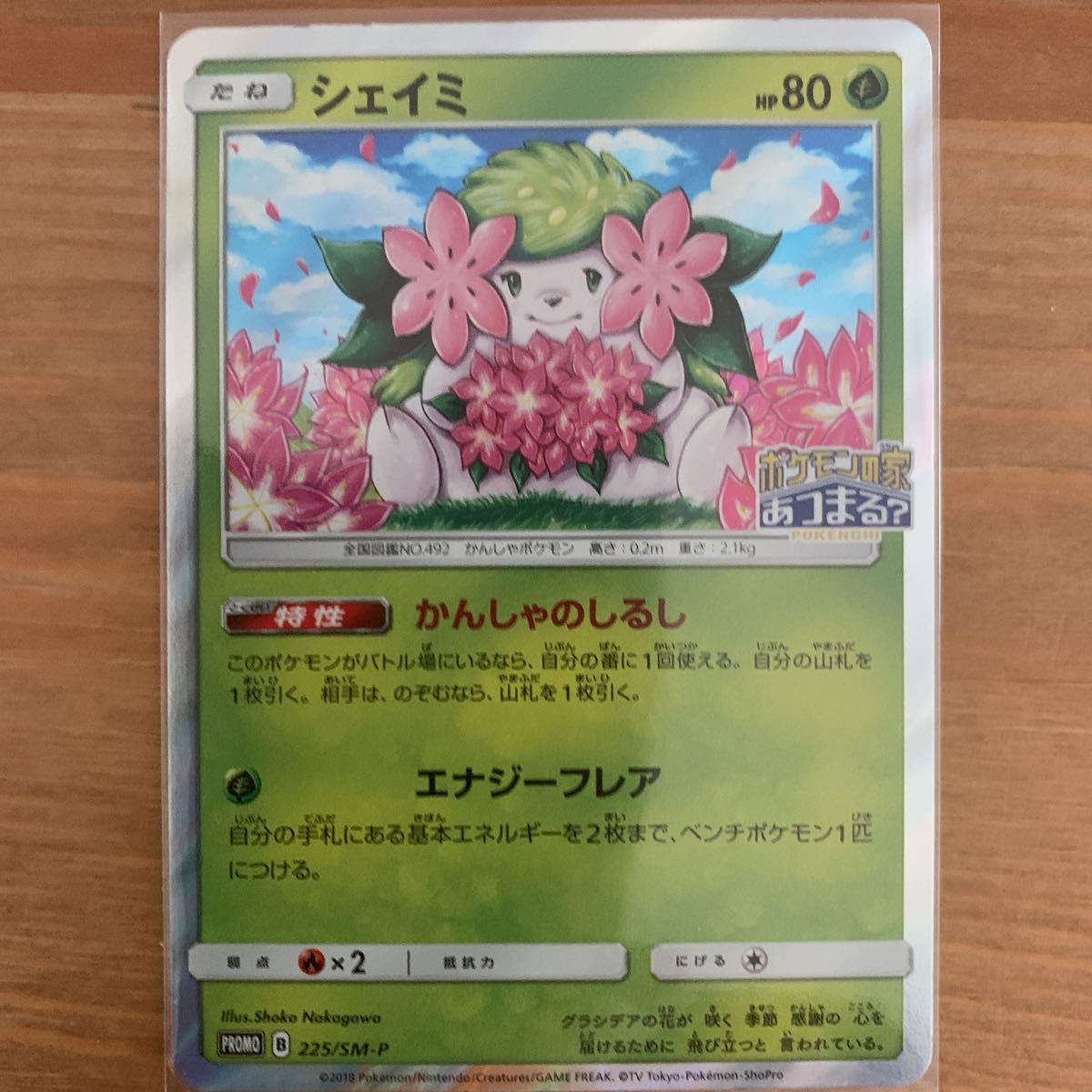ポケモンカード シェイミ ポケモンセンター 中川翔子 しょこたん プロモ その他 売買されたオークション情報 Yahooの商品情報をアーカイブ公開 オークファン Aucfan Com