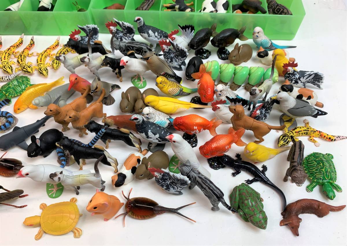 Furuta チョコエッグ 日本の動物 ペット動物コレクション まとめセット 説明書付き ケース付き 爬虫類 哺乳類 海の動物 フルタ 0507 その他 売買されたオークション情報 Yahooの商品情報をアーカイブ公開 オークファン Aucfan Com