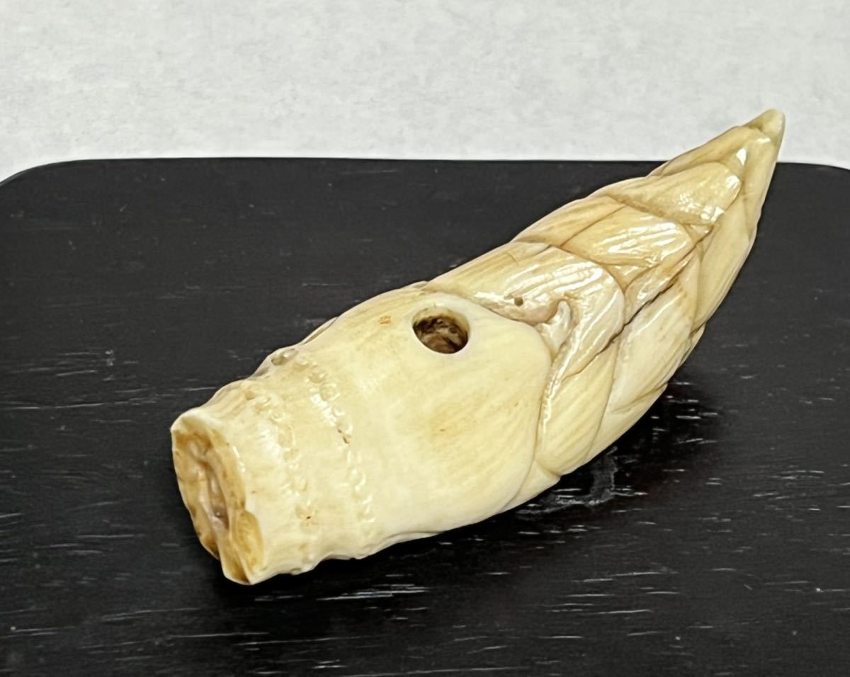 根付牙(海象) 〈筍〉笑斎造