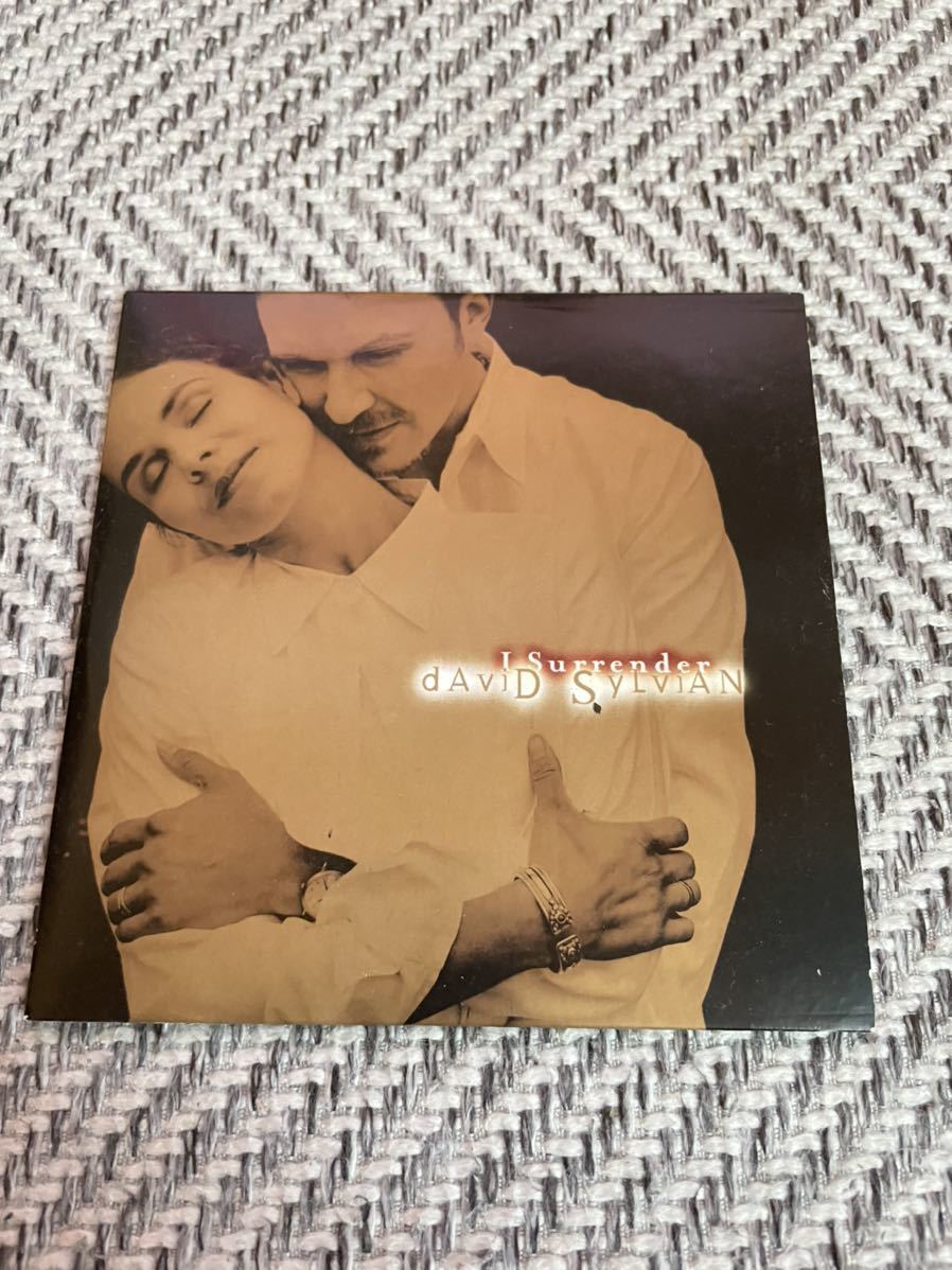 限定セール，新作登場 David Sylvian I Surrender ペーパースリーブCDS ingrid chavez(David Sylvian)｜売買されたオークション情報、yahooの商品情報をアーカイブ公開 - オークファン D