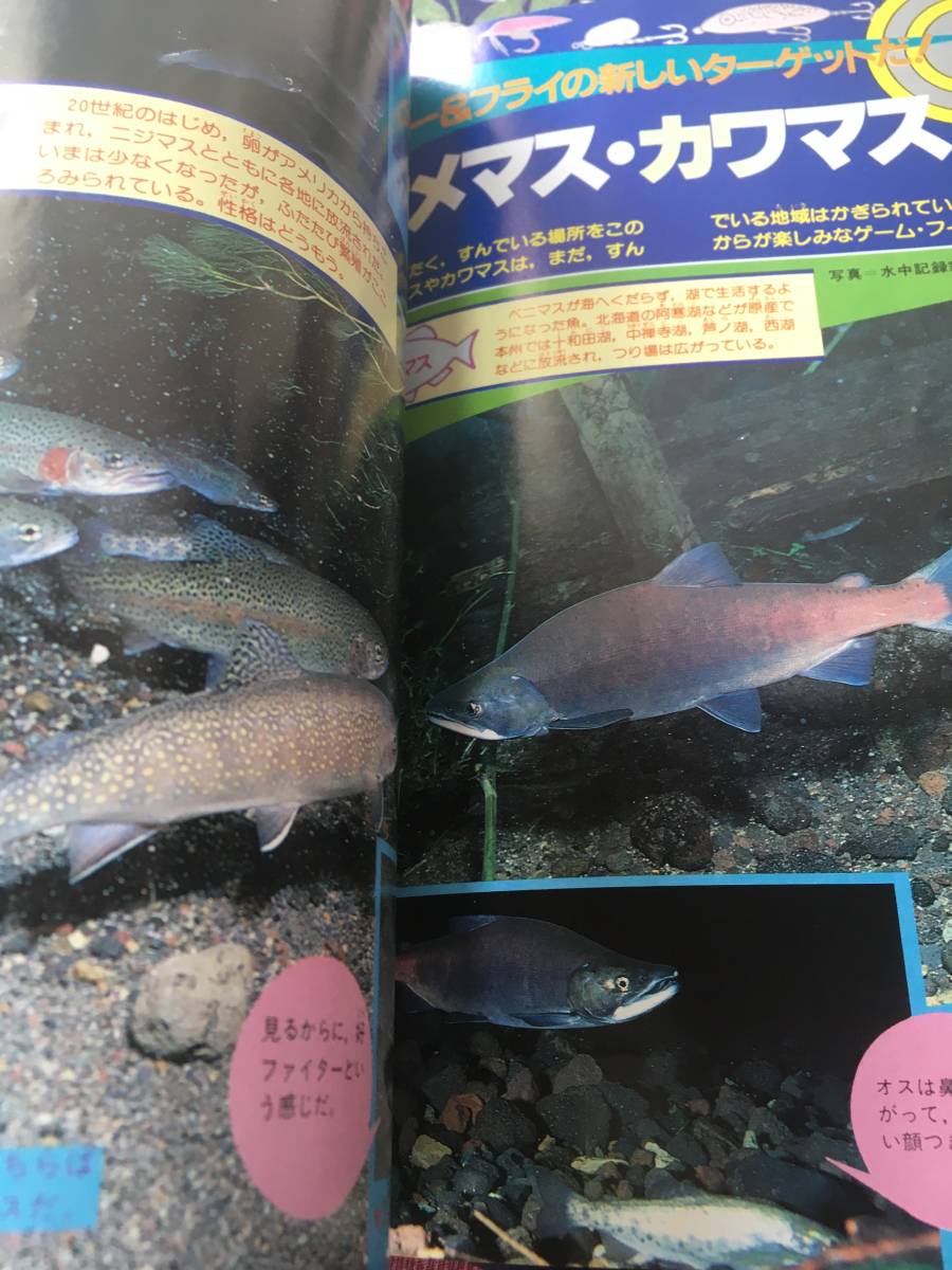 つりトップ 昭和57年11月 雷魚釣り場 Heddon Abu バルサ50 一般 売買されたオークション情報 Yahooの商品情報をアーカイブ公開 オークファン Aucfan Com つりトップ 昭和57年11月 雷魚釣り場 Heddon Abu バルサ50 一般 売買されたオークション情報 Yahooの商品情報をアーカイブ公開 オークファン Aucfan Com