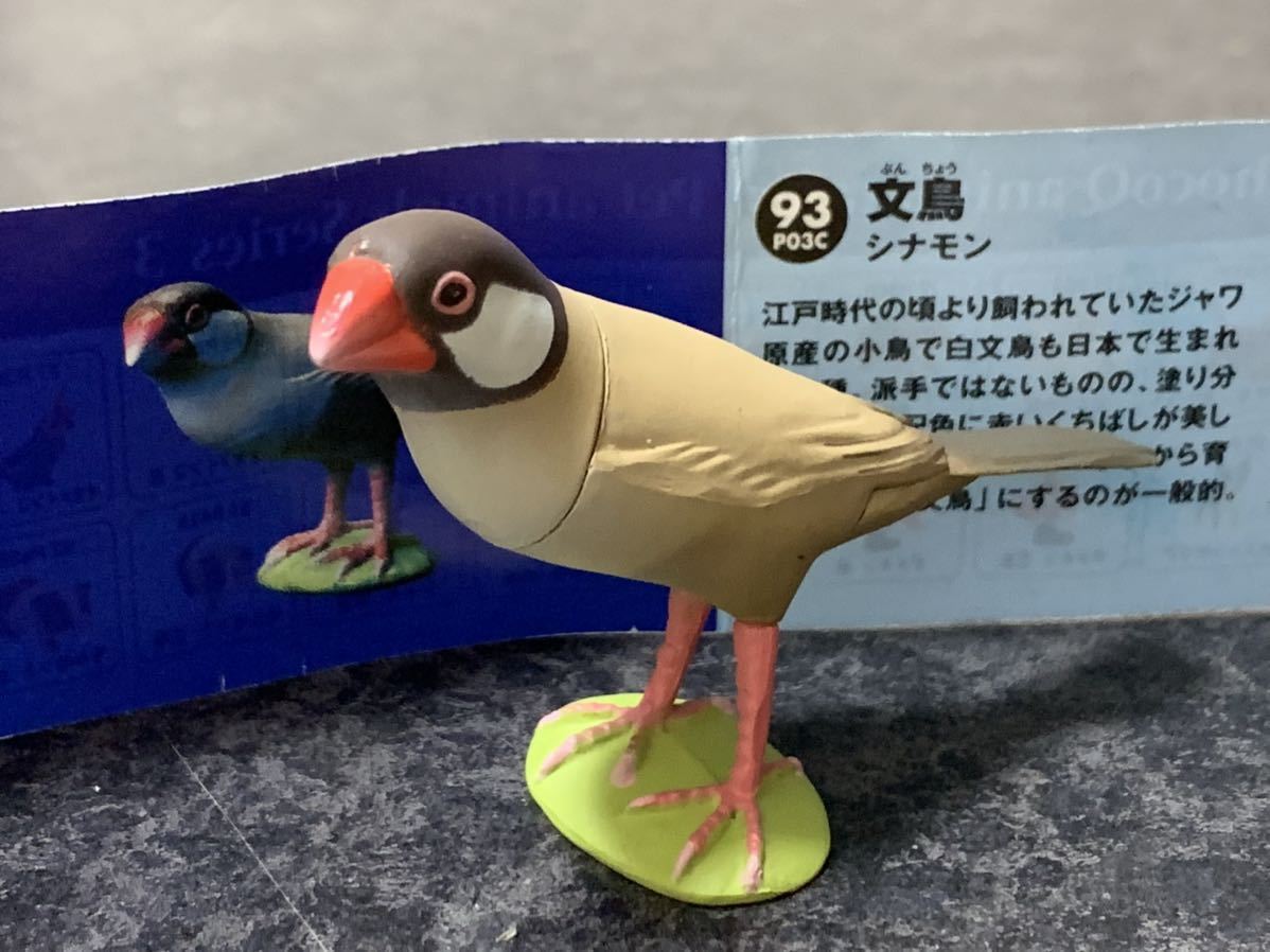 ペット第3弾 微笑ましく 日本白色種 チョコQ