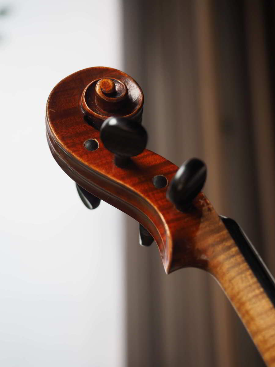 選定分類：III-(8) モダン・マスターメード・イタリア】Violin  