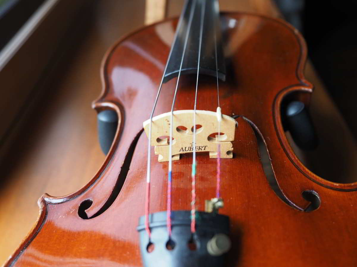 選定分類：III-⑧モダン・マスターメード・伊太利】Violin Attributed