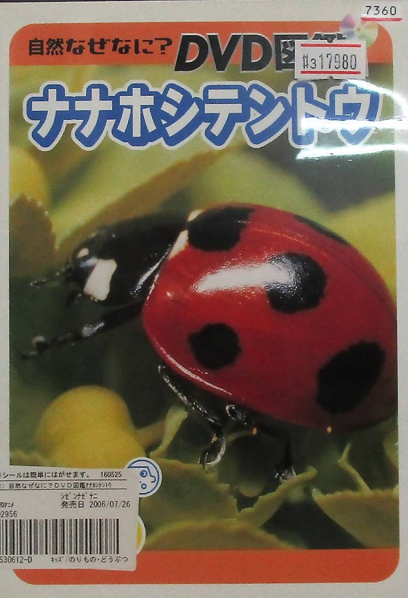 ナナホシテントウの値段と価格推移は 43件の売買情報を集計したナナホシテントウの価格や価値の推移データを公開
