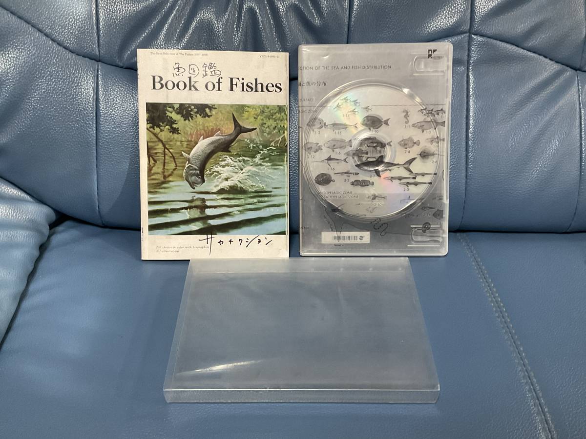 サカナクション 魚図鑑 ベストアルバム Www Dermacircles Com サカナクション 魚図鑑 ベストアルバム Www Dermacircles Com