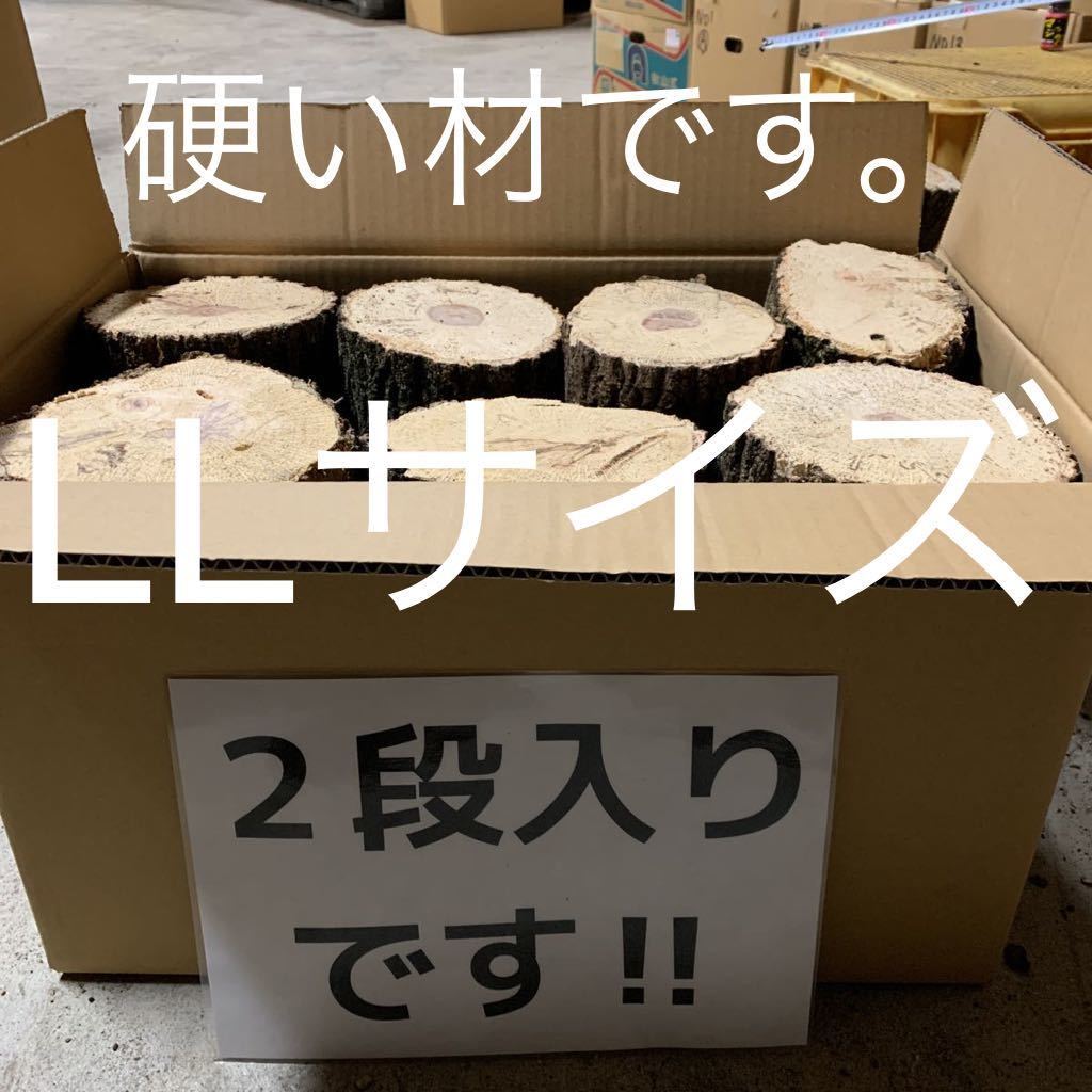 激安大特価，人気 No.3 産卵木硬い材 110サイズの箱にびっしり入ってます オオクワガタ(止まり木、ほだ木)｜売買されたオークション情報、yahooの商品情報をアーカイブ公開 - オークファン 止まり木、ほだ木