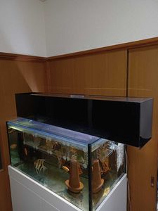 水槽 1cmのヤフオク の相場 価格を見る ヤフオク の水槽 1cmのオークション売買情報は77件が掲載されています