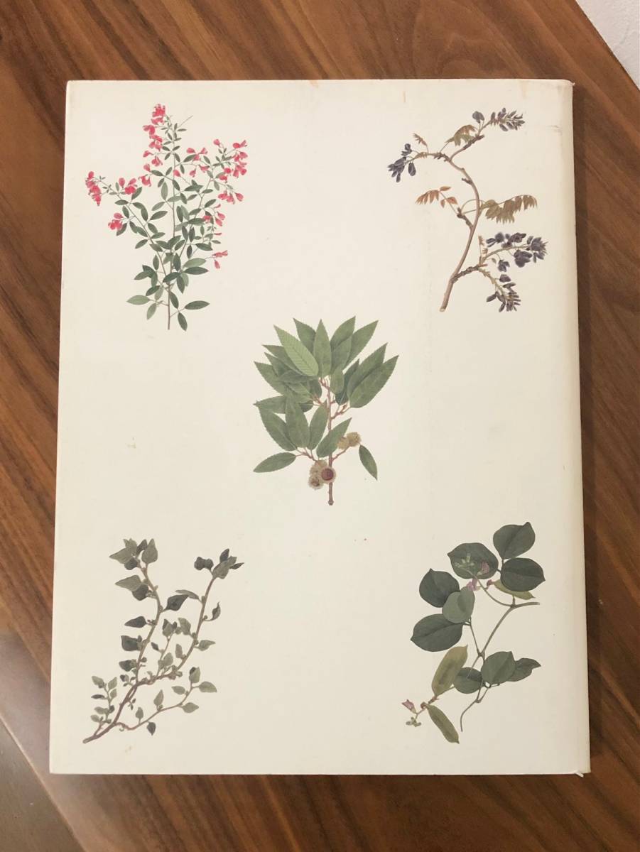 シーボルト・コレクション日本植物図譜展 日本のボタニカル 図録 日本