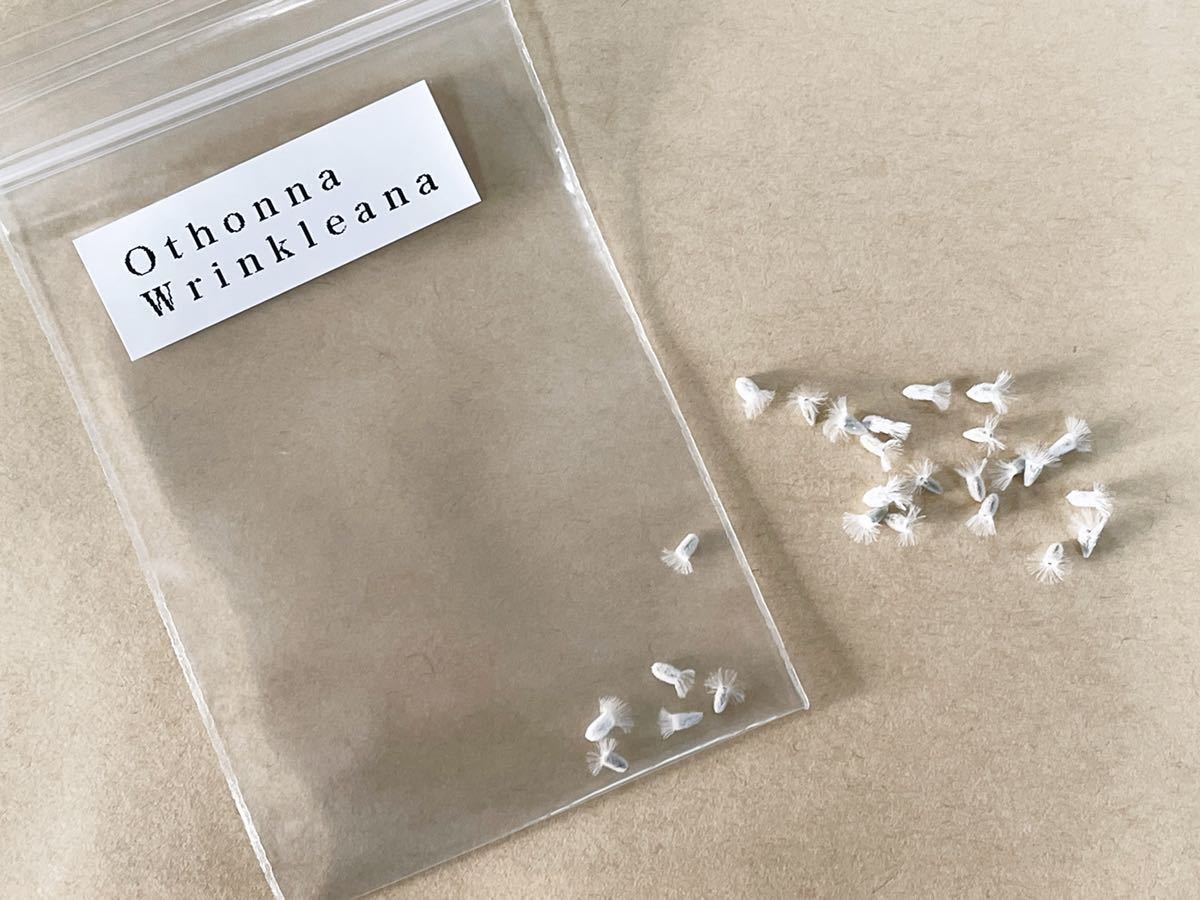 店内限界値引き中 セルフラッピング無料 ルグラン Shieldmeglobal Com