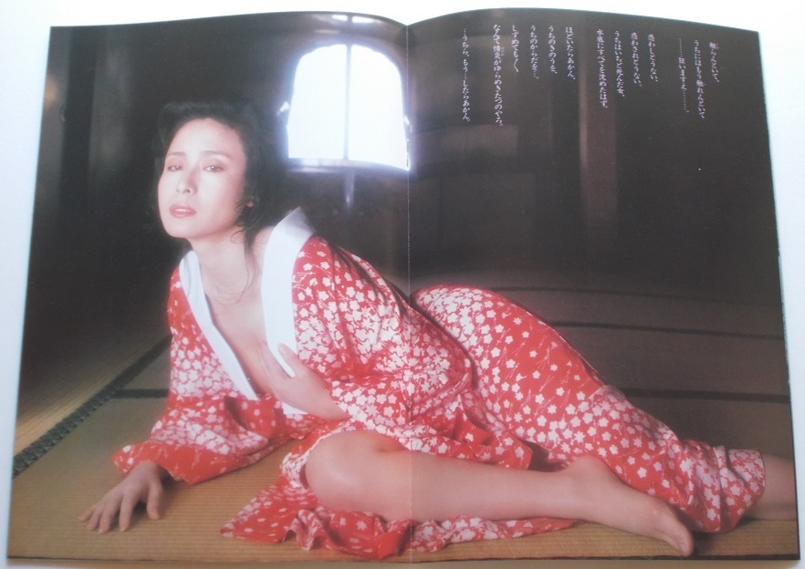 映画パンフレット□白蛇抄／小柳ルミ子、杉本哲太、仙道敦子、若山 