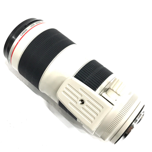 com : Canon EF 70-200mm f⁄2.8L IS II Telephoto Zoom