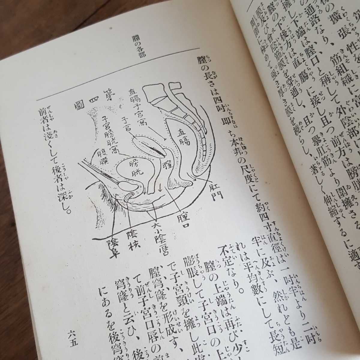 蔵出 当時物 珍品 戦前 婦人生殖器の解剖 結婚初夜の智識と其心得 2点 大正 昭和 初期 医学 専門書 生殖器 人体 解剖図 アンティーク ...