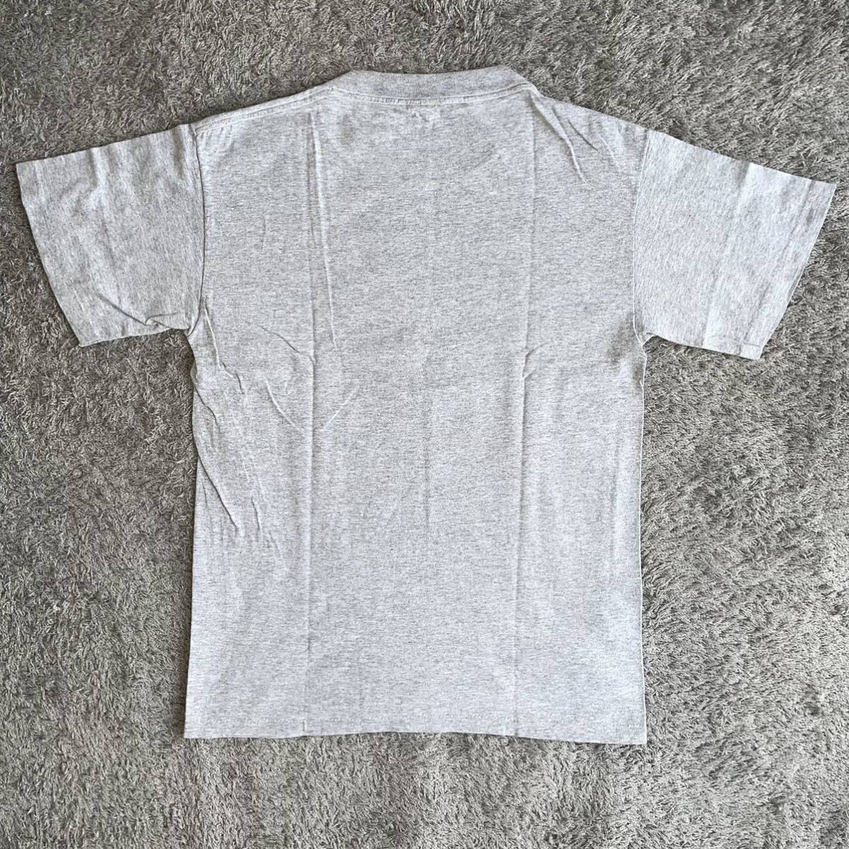 HI-STANDARD santacruz santa cruz powell dog town vans thrasher 