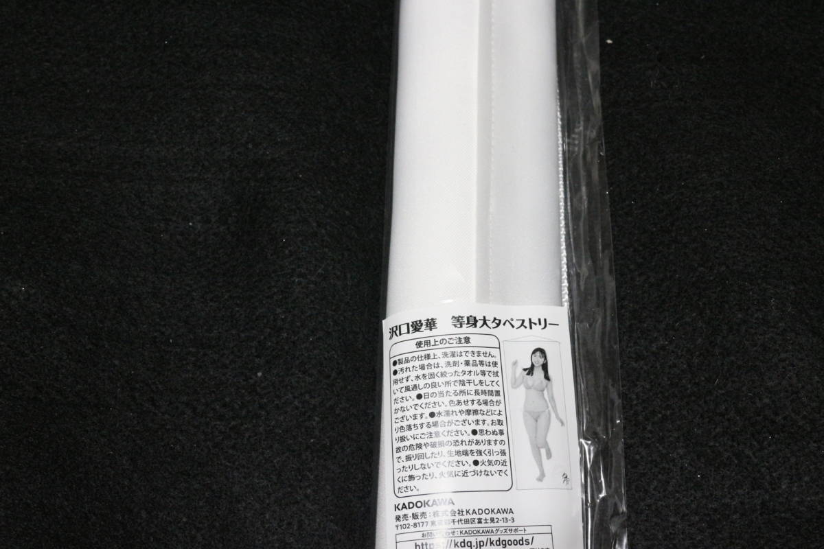 s1032676278.3