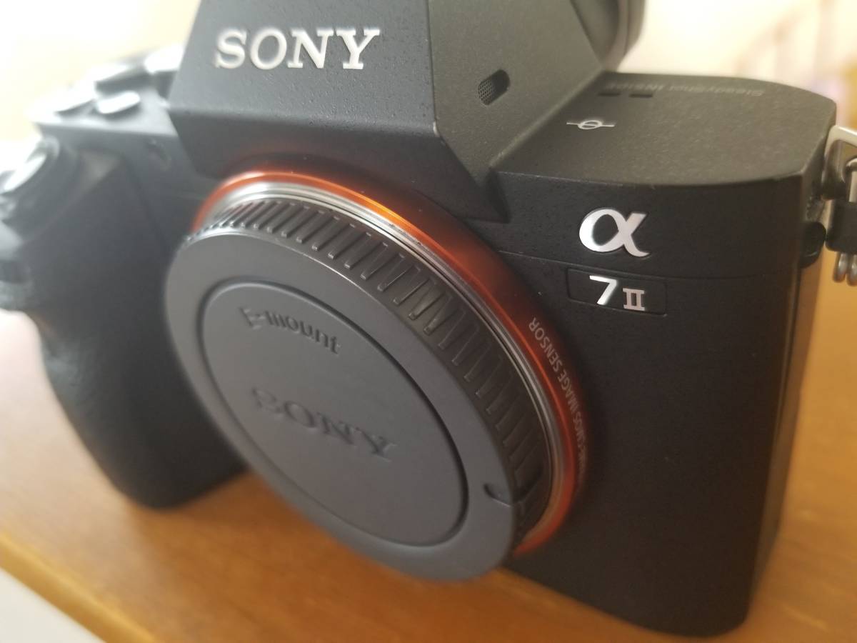 SONY α7ii ボディ［シャッター回数14,612］ ソニー(SONY)カメラの
