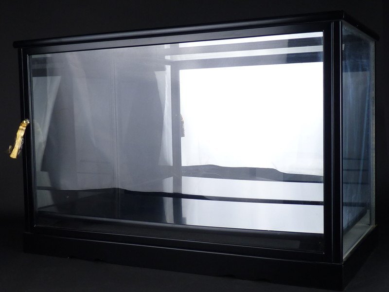 都屋】25 アイリッシュ ドレスデン「ミュージカルカルテット」高さ 約