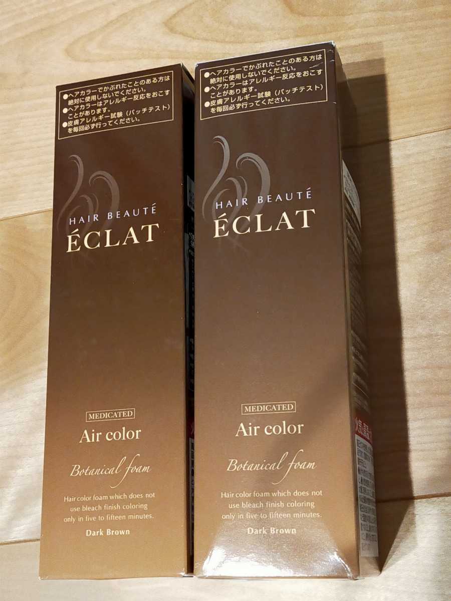 ÉCLAT ボタニカルエアカラーフォームup 150g2本セット ヘアカラー