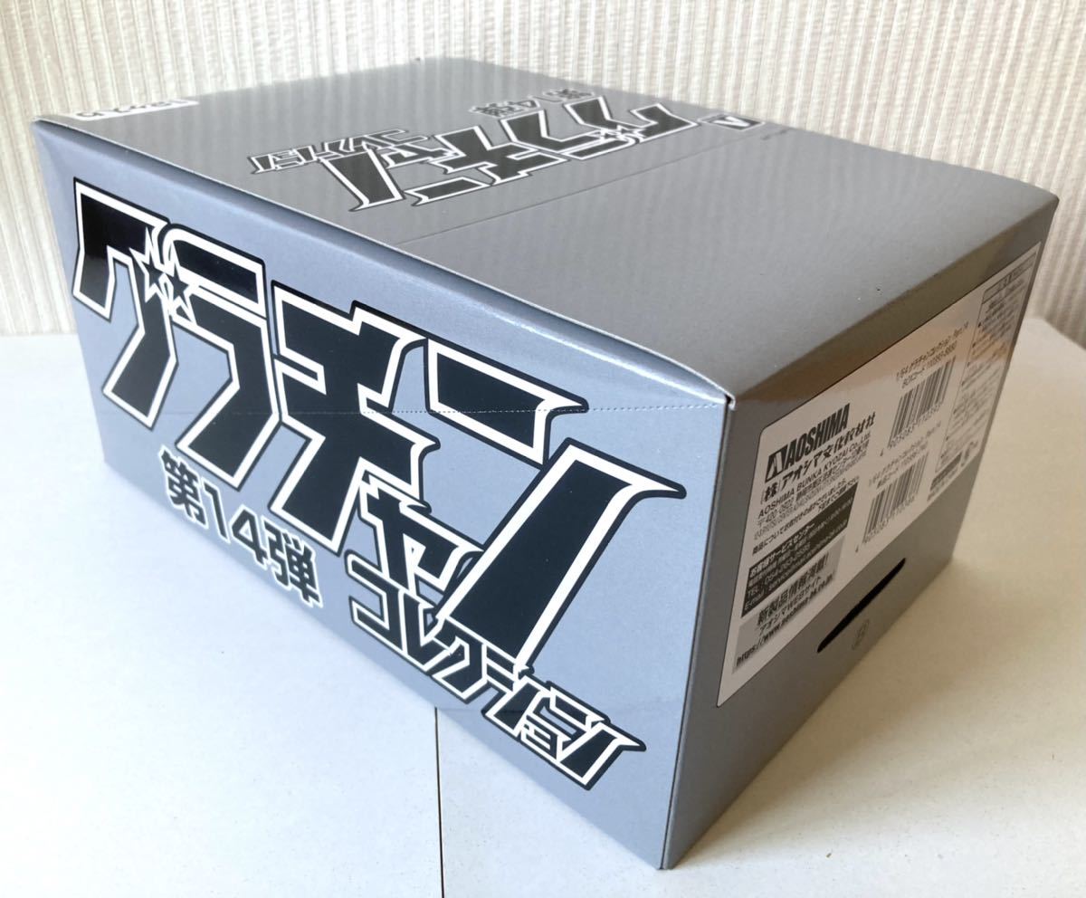 新品未開封特典付き】 アオシマ文化教材 1/64 チニューニングダイ