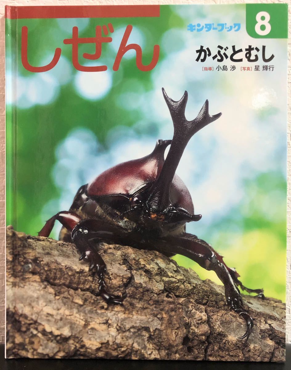 たくさんのふしぎ　キンダーブックしぜん　かぶとむし　カブトムシの音がきこえる かぶとむし」しぜん キンダーブック フレーベル館 同梱歓迎 昆虫(絵本